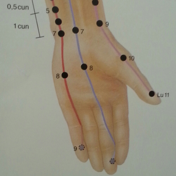 Meridiane Handinnenseite Hand- und Fingermeridiane und warum das "Flattern" so gut ist